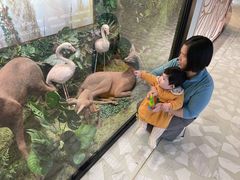 -千户高端家政育儿嫂·保姆·儿童陪伴师