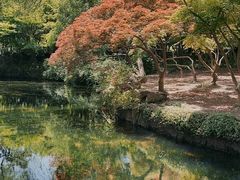 -秋霞圃