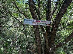 -青龙山生态文化旅游区(慈云寺)