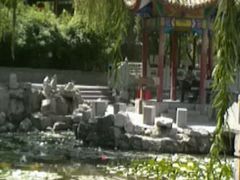 android_upload_pic-文瀛公园