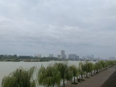 -蒋家槟豆面皮(友爱路店)