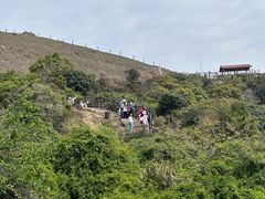 -大姆山草场