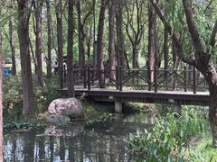 -尚贤河湿地