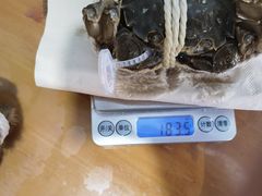 -阳澄湖大闸蟹·琼灵阁牌品牌连锁(吴中总店)