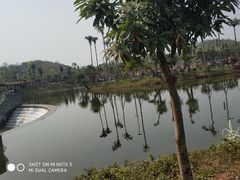 -枫香湖儿童公园