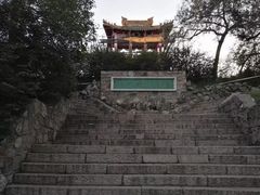 -龙沙公园