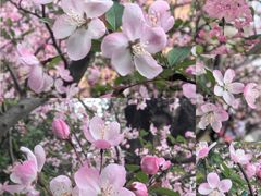 -同济大学-北苑食堂