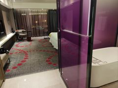 -南京禄口机场雅高铂尔曼大酒店