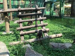 -西安秦岭野生动物园