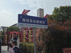 -东台西溪天仙缘景区