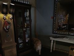 -火车头法国西餐厅