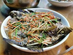 -琼海温泉鹅农家饭店