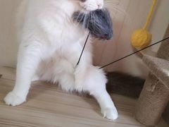 -上海沪太花鸟奇石市场·停车场