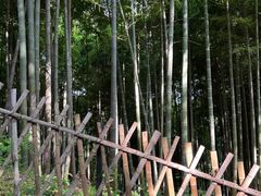-宝石山