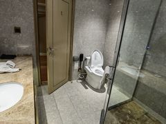 -印象高密·凤都国际大酒店