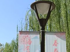 -海棠花溪(元大都城垣遗址公园)