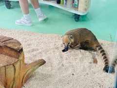 -海合安武汉极地海洋公园