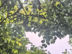 -林间山庄