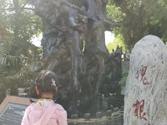 -大槐树寻根祭祖园