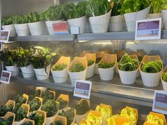 -海底捞大排档火锅(打浦路店)