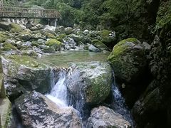 -牛背梁国家森林公园