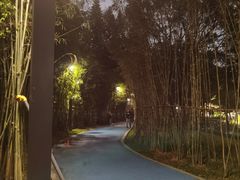-四海公园(南山区)