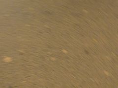 -老孙家泡馍(洒金桥店)