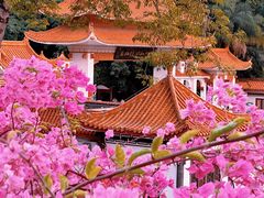 -深圳仙湖植物园