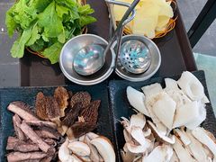 -蘑统田下·野生菌火锅