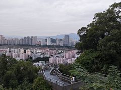 -福道