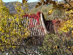 -香山公园-东宫门售票处
