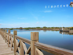 -呼兰河口湿地公园