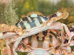 -岛中岛·海鲜大排档·万宁老字号(东澳店)