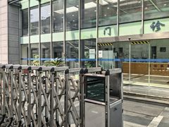 -同济大学附属同济医院分院