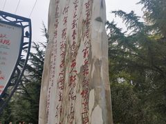 -金城公园