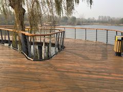 -东郊湿地公园