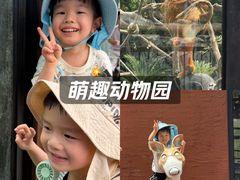 -武汉动物园