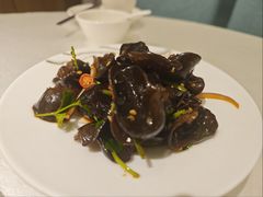 凉拌野生黑木耳-顺德佬(石厦店)