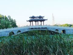 -东湖落雁景区
