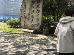 -观潮胜地公园
