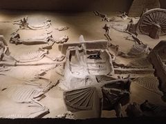 -洛阳周王城天子驾六博物馆