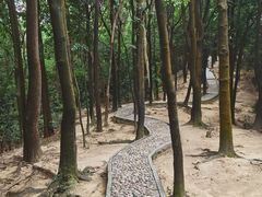 -火炉山森林公园