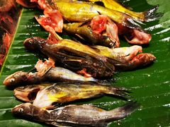 -火舞泰·泰式海鲜火锅餐厅(世纪城店)