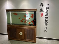 -金蚁康•经络调理•肩颈按摩(万达金街店)