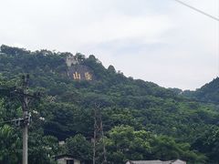 -南山植物园