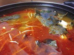 -弘烨 贵州酸汤 鱼火锅(东财店)