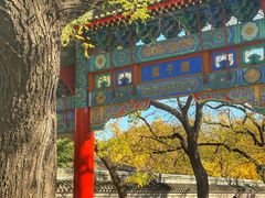 -北京国子监胡同