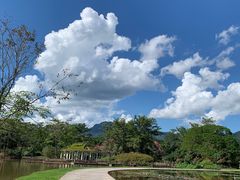 -中国科学院西双版纳热带植物园