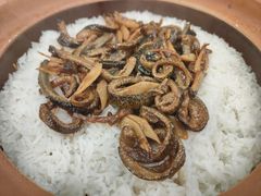 台山黄鳝焗饭-万年酒楼(越秀南路店)