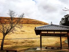 -奈良公园